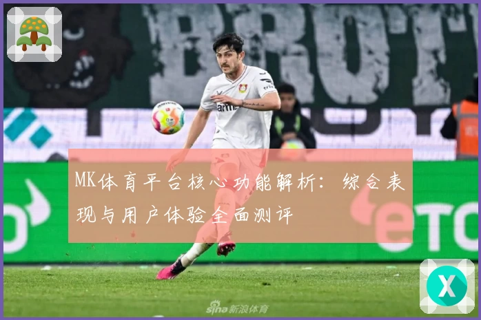 MK体育平台核心功能解析：综合表现与用户体验全面测评